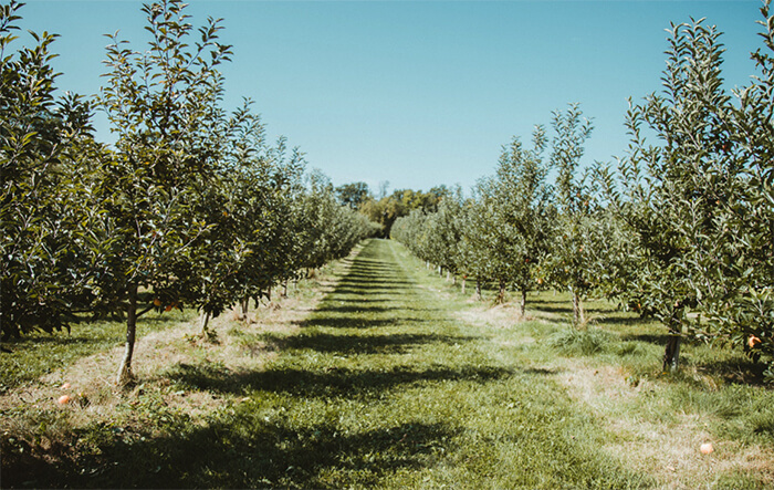 FUND - Pela Terra Farmland